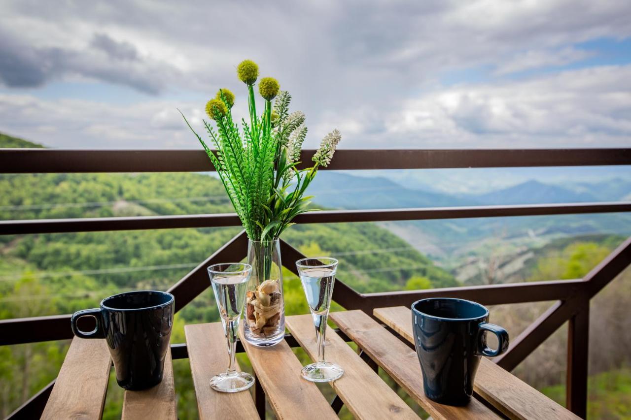 Apartments View Dvori E25 Kopaonik Dış mekan fotoğraf